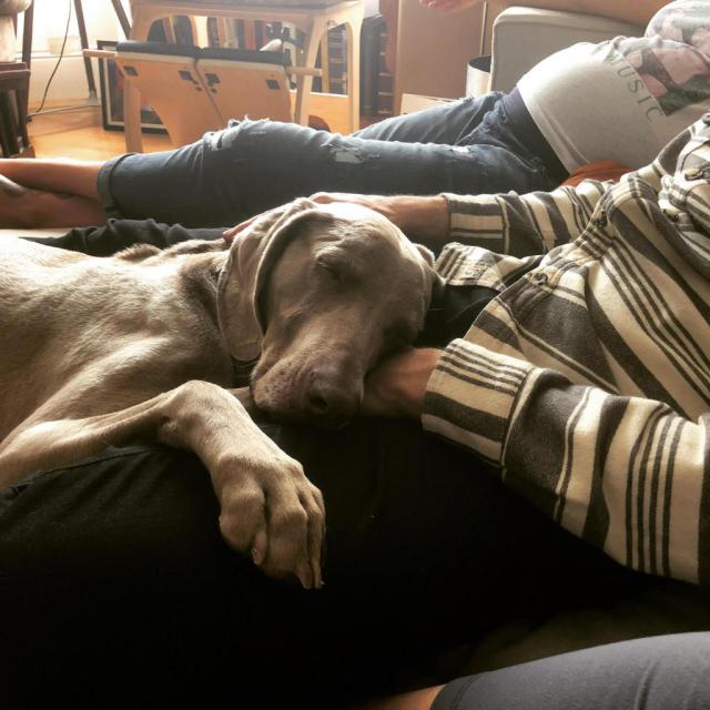 Ferris May 2018
